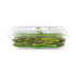 Sunbeam FoodSaver Vacuum Container 10 Cup VS0665 image NaN
