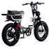 Flight Risk FR333 E-Bike White ATV07DSWH image NaN