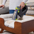 Bissell Stain Eraser Pet 3318F image NaN