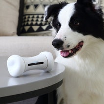 Cheerble 2499 Wickedbone Smart Interactive Dog Toy White hero image