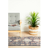 Rug Culture Legacy Extra Large Multi-coloured Rug 500X80CM - LEG-854-NAVY-500X80 image NaN