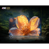 CHiQ 75 Inch QM10 4K QLED Smart Google TV U75QM10 [2025] image NaN