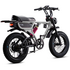 Flight Risk FR555 E-Bike Silver FR-555SILVER image NaN