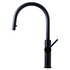 Titan Essentials Lite Gooseneck Pull Out  Kitchen Mixer Tap - Matte Black TTBSXP image NaN