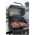 Artusi 2 Burner EQ Electric Freestanding BBQ ATBBQ2ET image NaN
