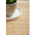 Rug Culture Nosa Large Natural & White Rug 280X190CM OVAL - NSA-111-OVL-280X190 image NaN