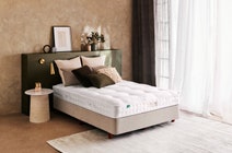 A.H. Beard Origins - Prosperity MEIII+ Plush Single Mattress - SILFP3MS hero image