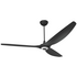 Big Ass Fans 2.1m Haiku Indoor in Black with Universal Mount and Light B3213-X4-AB-06-3 image NaN