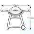 Weber Family Q Q3100 LPG BBQ 56060124 image NaN