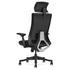 Lifespan Fitness DM9 Ergonomic Mesh High Back Office Chair LFOC-DM9BK-1 image NaN