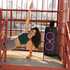 JBL PartyBox 310 Portable Speaker with Lights JBLPARTYBOX310AS image NaN