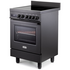DeLonghi 60cm Deluxe Induction Anthracite Freestanding Oven PRO66MALIN image NaN