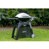 Weber Family Q Q3100 LPG BBQ 56060124 image NaN