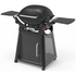 Weber Family Q3100N+ Natural Gas Freestanding BBQ Black 29717024 image NaN