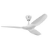 Big Ass Fans Haiku L 1.3m Universal Profile Ceiling Fan with 254mm Downrod and LED White FR127C-U1H02-WH-3  image NaN