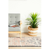 Rug Culture Legacy Medium Multi-coloured Rug 300X80CM - LEG-851-BRCK-30080 image NaN