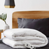 Linen House King Single Electric Quilted Blanket 01A55D424 image NaN