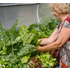 Vegepod Large Garden Stand S0009 image NaN