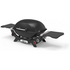 Weber Q2600N+ Portable LPG BBQ Black 28510024 image NaN