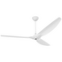 Big Ass Fans 2.1m Haiku Indoor in White with Universal Mount and Light B3213-X4-AW-06-1-1 image NaN