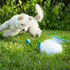iFetch Original Ball Launcher - 5002 image NaN