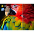 CHiQ 43 Inch QM10 4K QLED Smart Google TV U43QM10 [2025] image NaN