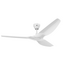 Big Ass Fans Haiku L 1.3m Universal Profile Ceiling Fan White FR127C-U1H02-WH image NaN