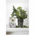 Collette Dinnigan Bar Soap Fiori di Bosco Pack BSFDBPK image NaN