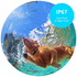 Petble SmartTag Pet Health Tracker Violet - 20552 image NaN