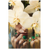 Dina Broadhurst Play On My Mind Golden Drip - Medium 80 x 120 - Black Frame PL-O-M-M-GLDN-D-BF-M image NaN