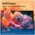 Hisense 55 Inch Q6QAU 4K Smart QLED TV 55Q6QAU [2025] image NaN