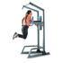 Proform Carbon Strength Power Tower PFBE15020 image NaN