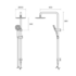 Rogerseller Tonic Dual Shower - Brushed Nickel 3506002807 image NaN