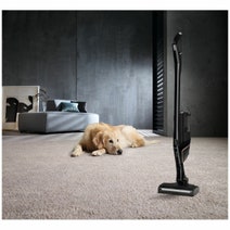 Miele Triflex HX2 Cat & Dog Plus Bagless Stick Vacuum 12092150 hero image