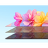 CHiQ 32 Inch M10 Smart HD LED Google TV L32M10 [2025] image NaN