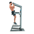 Proform Carbon Strength Power Tower PFBE15020 image NaN