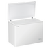 Haier 301L Chest Freezer HCF301 image NaN