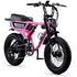 Flight Risk FR555 E-Bike Pink ATV08XSPK image NaN