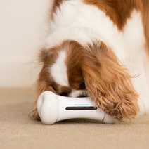 Cheerble 2499 Wickedbone Smart Interactive Dog Toy White hero image