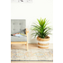 Rug Culture Legacy Extra Large Multi-coloured Rug 500X80CM - LEG-863-NAVY-500X80 image NaN