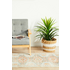 Rug Culture Legacy Medium Multi-coloured Rug 300X80CM - LEG-853-BLUE-30080 image NaN