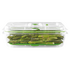 FoodSaver Lock & Seal + Container Pack VS0645VS4500 image NaN