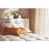 A.H. Beard Origins - Planet Q Firm Super King Mattress - SILF1EMSPK image NaN