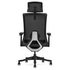 Lifespan Fitness DM9 Ergonomic Mesh High Back Office Chair LFOC-DM9BK-1 image NaN