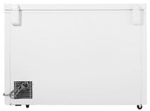 Lemair 316L Chest Freezer LCF316 hero image