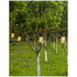 LumiFx 50 Bulb Wifi Smart Outdoor Festoon Lights 10004639 image NaN