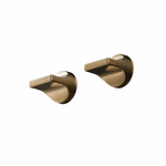 Rogerseller Pinch Wall Top Assembly - Brushed Gold 3606004314 hero image