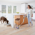 Shark Cordless Detect Pro with Auto Empty System IW3611 image NaN