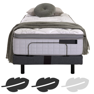 Medium King Single Mattresses