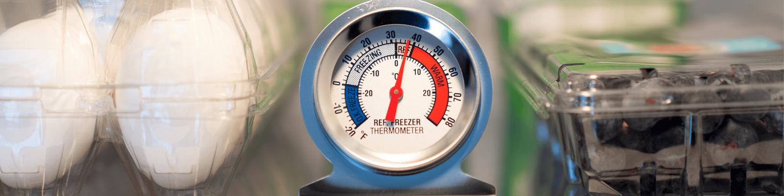 Fridge and Freezer Temperature: How Cold Should They Be?